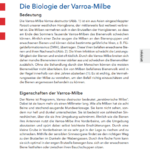 Arbeitsblatt Die Biologie der Varroa Milbe
